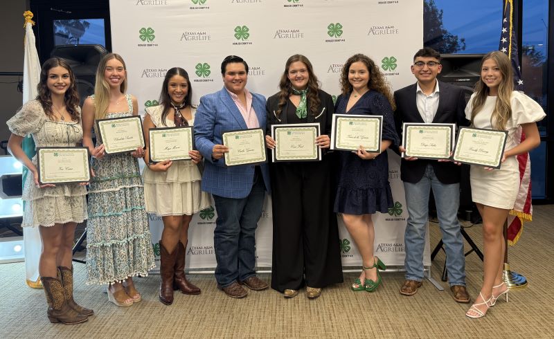 2023 4h scholarships